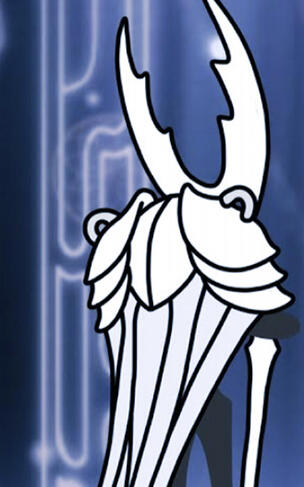 The Hollow Knight